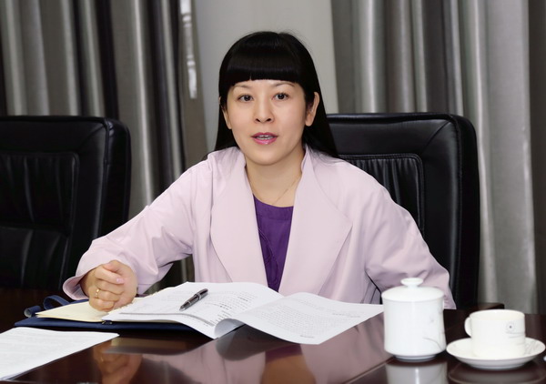 研讨会上,影视与传媒学院院长,项目负责人罗幸教授介绍了项目研究的